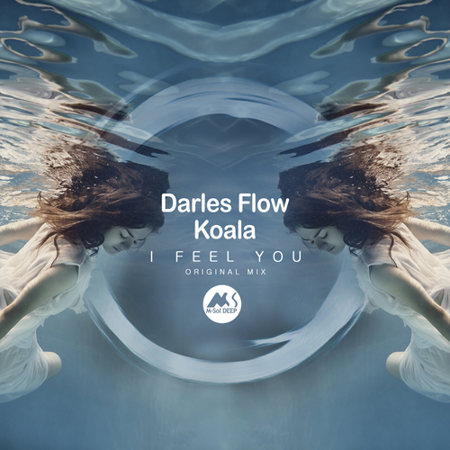 Darles Flow & Koala - I Feel You [MSD273]